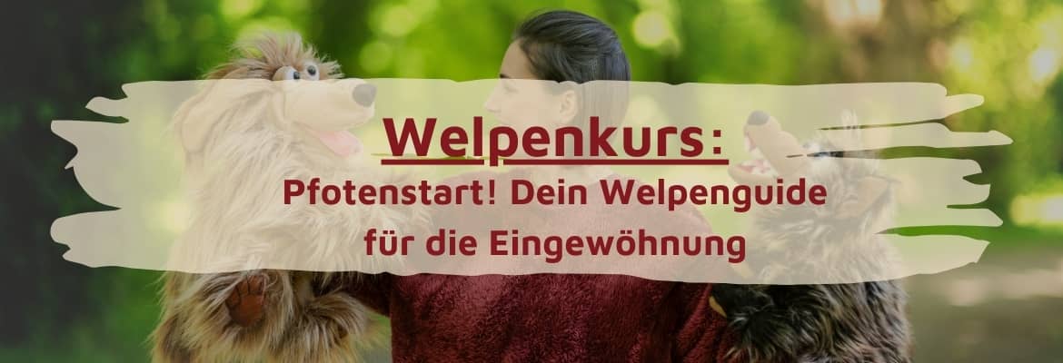 welpenkurs-titel